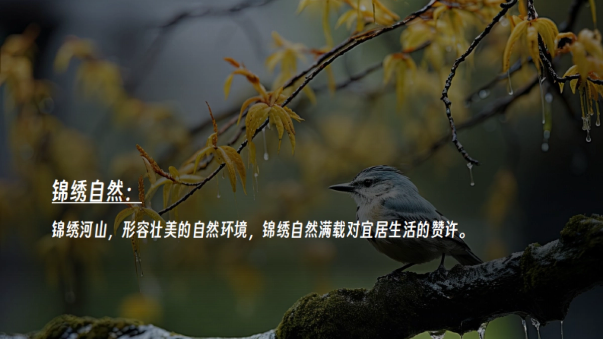 绿城美好集锦产品系创意思考_第9页