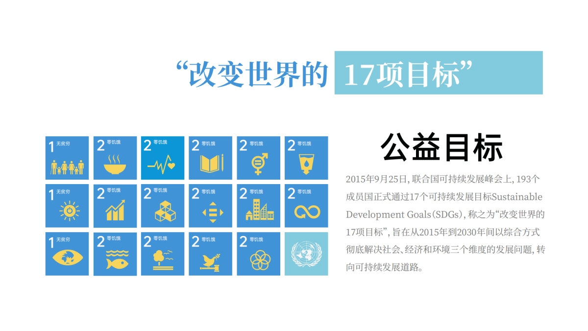 品牌手册丨公益组织世界联合介绍ppt_第6页