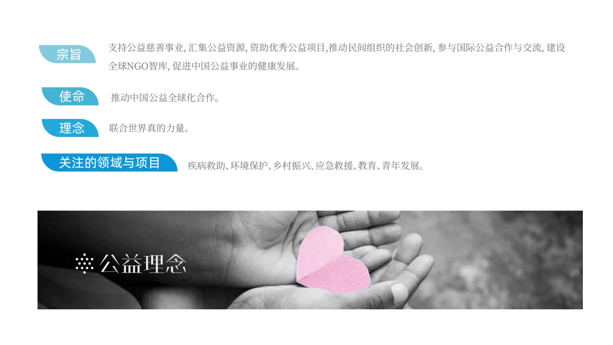 品牌手册丨公益组织世界联合介绍ppt_第7页