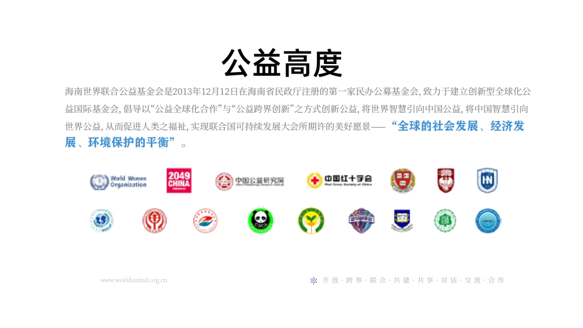 品牌手册丨公益组织世界联合介绍ppt_第9页