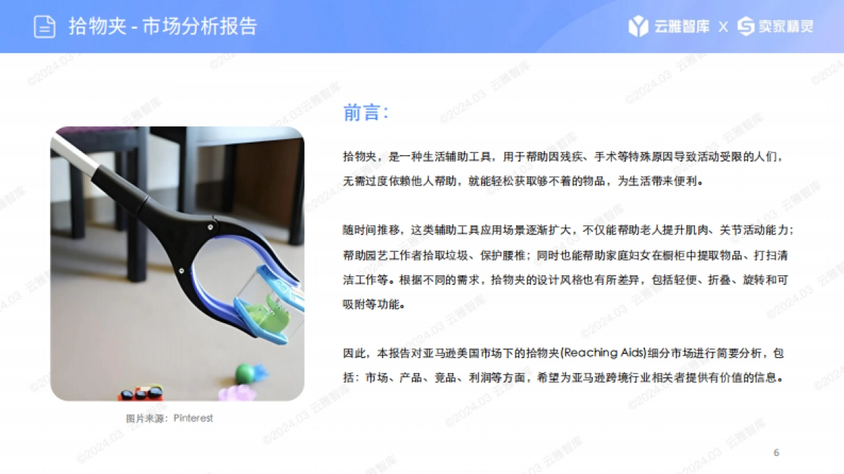 云雅智库&卖家精灵：2024拾物夹市场报告_第6页