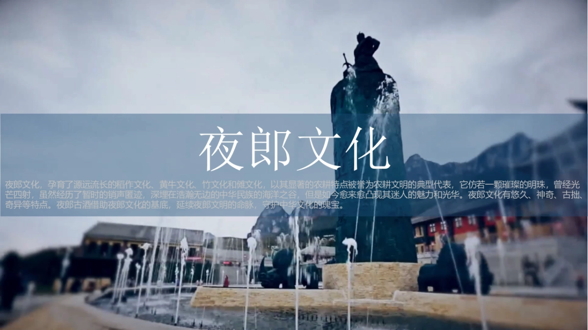 夜郎古酒文化节_第9页