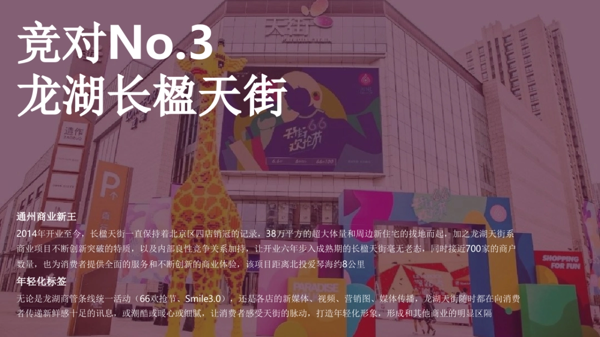 北投爱琴海新媒体运营提案_第6页