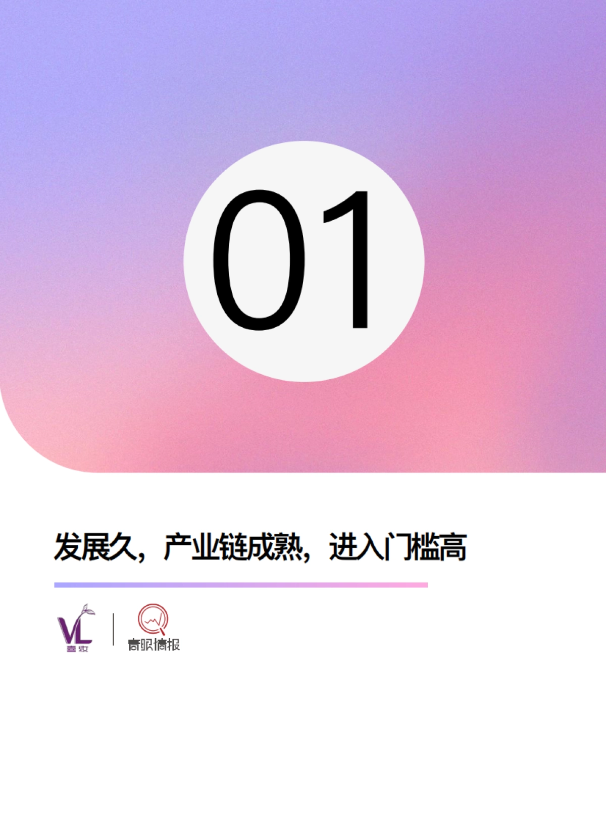 2024染发行业趋势白皮书_第8页