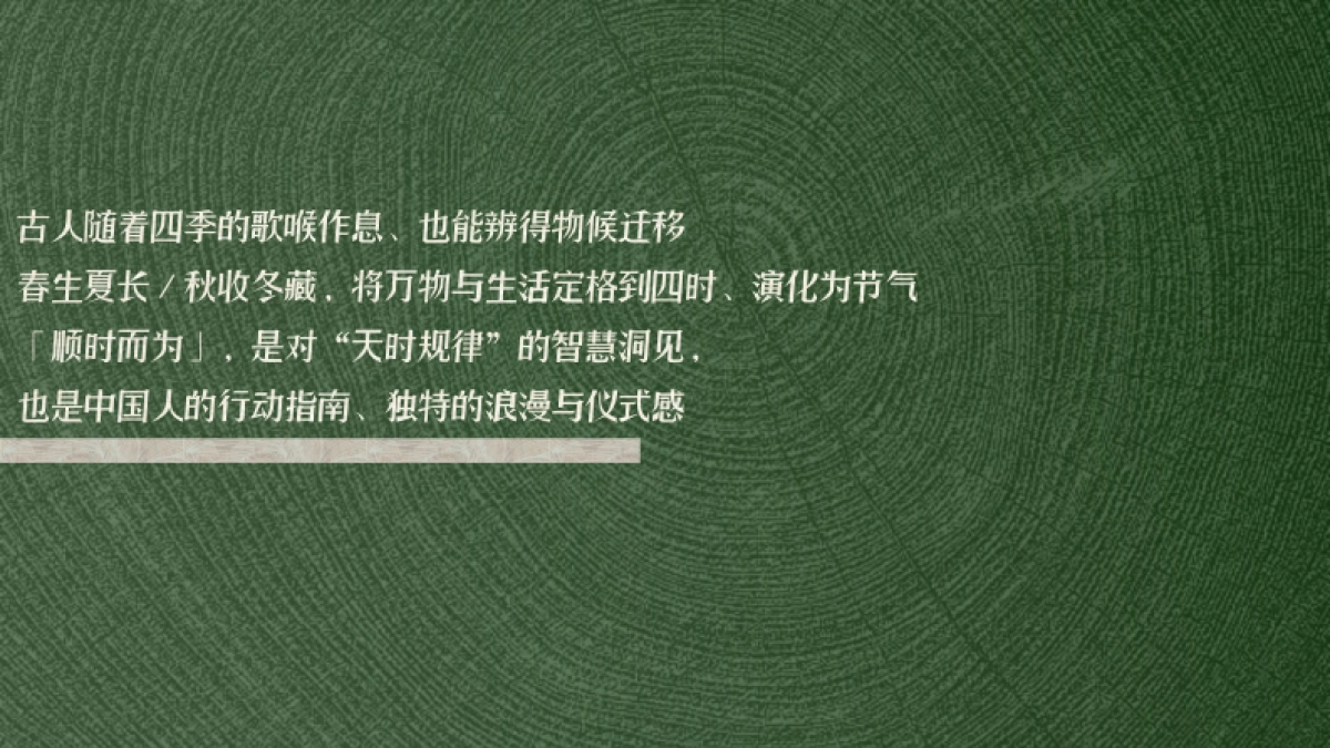 2024小红书【万物有时节】IP通案_第5页