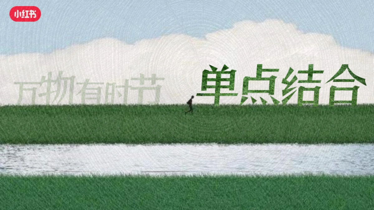 2024小红书【万物有时节】IP通案_第8页