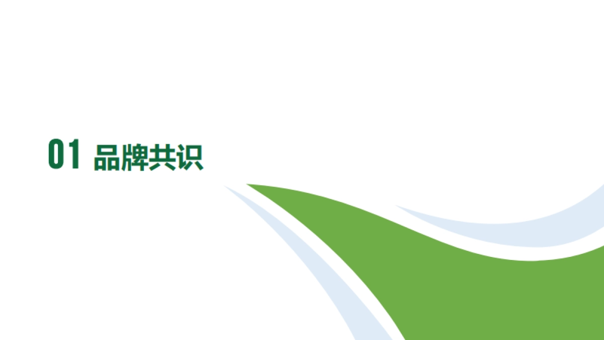 2024中石化江汉盐化工品牌战略方案_第2页