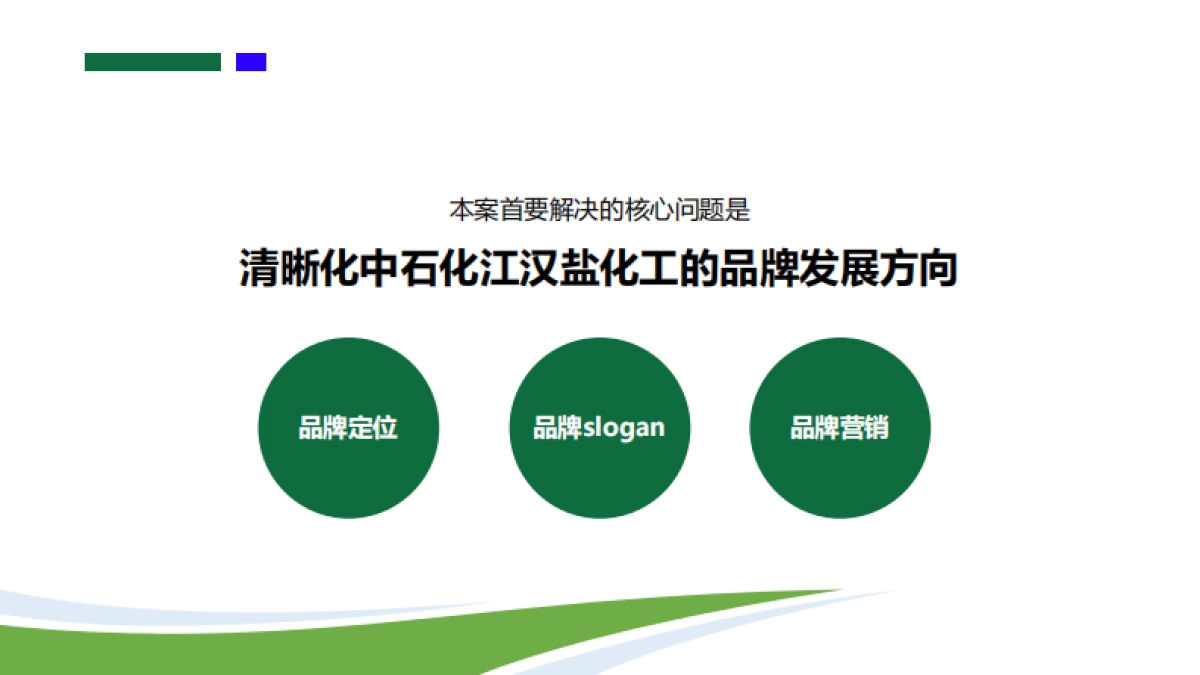 2024中石化江汉盐化工品牌战略方案_第3页