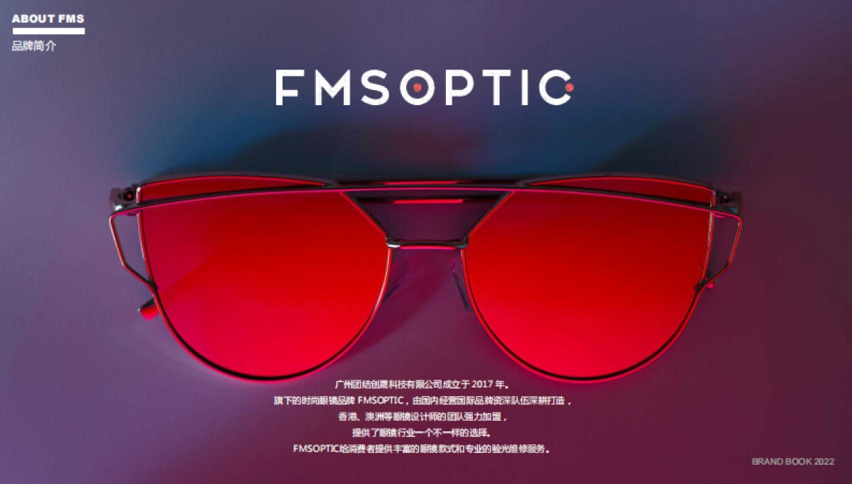 FMSOPTIC品牌手册_第2页