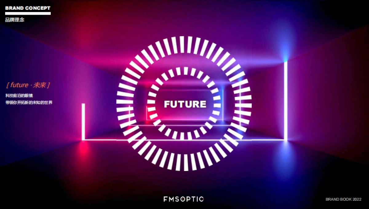 FMSOPTIC品牌手册_第3页