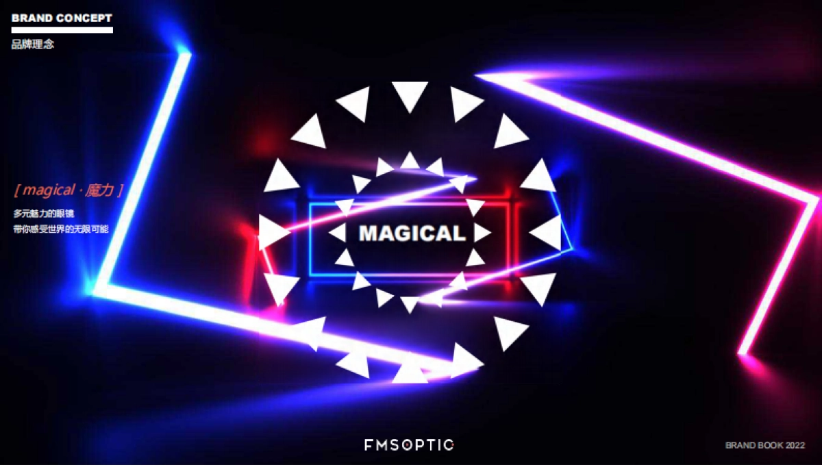 FMSOPTIC品牌手册_第4页