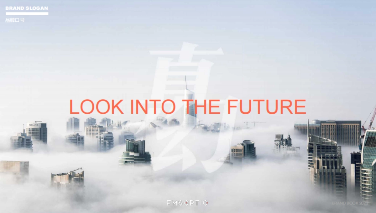 FMSOPTIC品牌手册_第6页