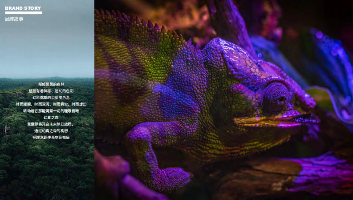 FMSOPTIC品牌手册_第7页