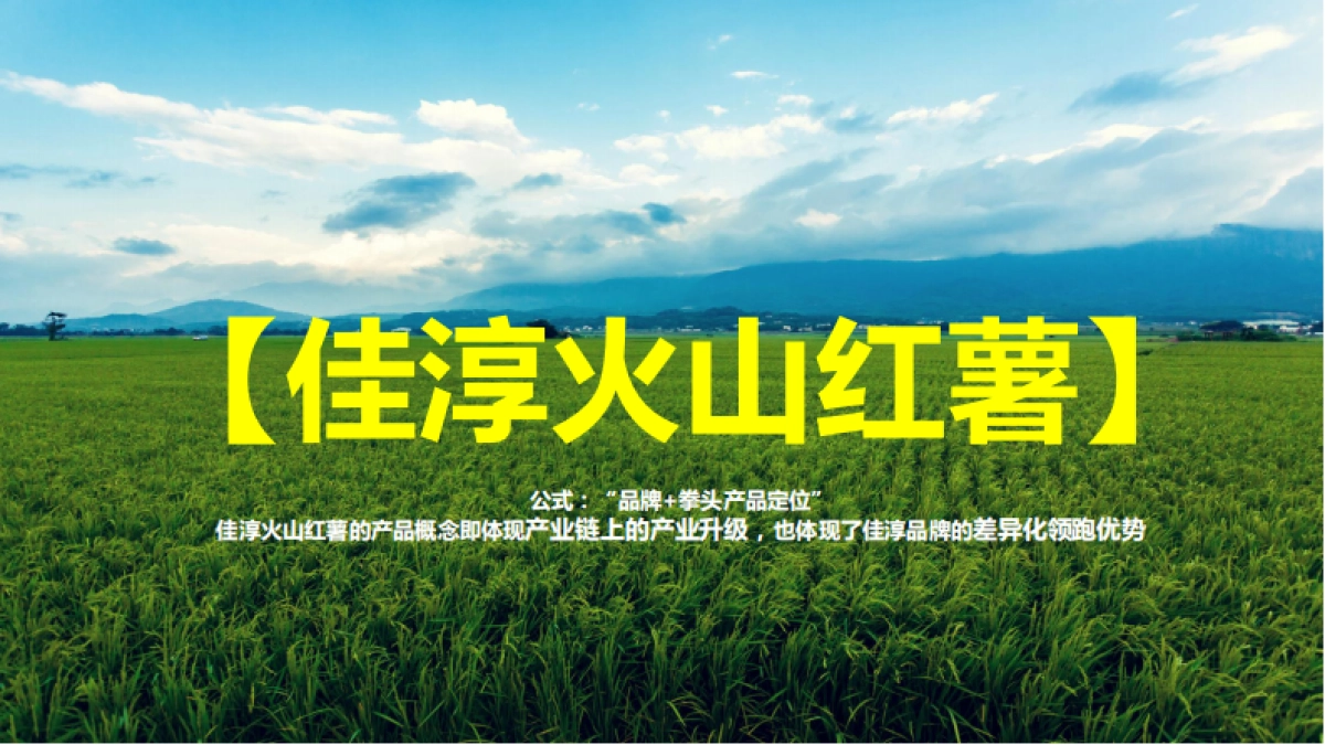 佳淳火山红薯自媒体运维建议及规划_第8页