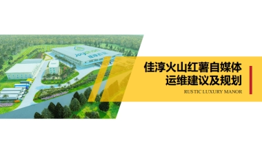 佳淳火山红薯自媒体运维建议及规划