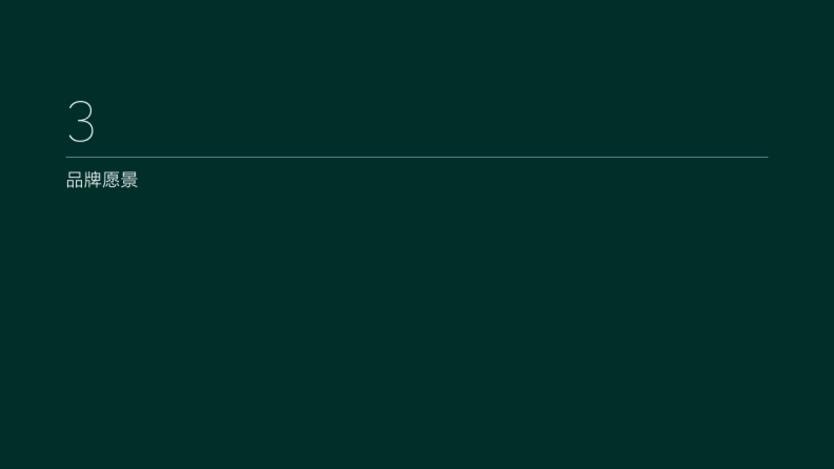 理想汽车品牌策略手册_第10页