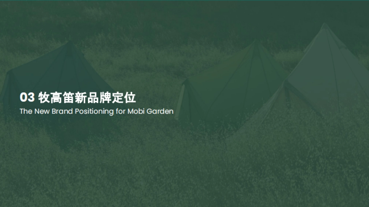 牧高笛品牌定位方案_第10页