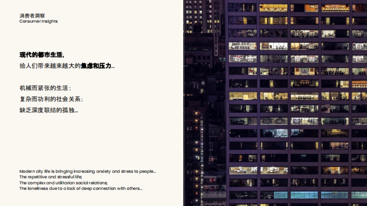 牧高笛品牌定位方案_第6页