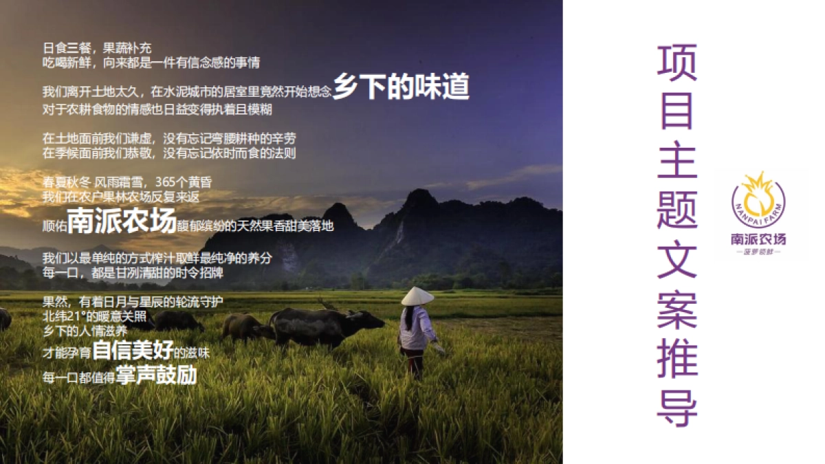 南派农场新媒体规划_第10页