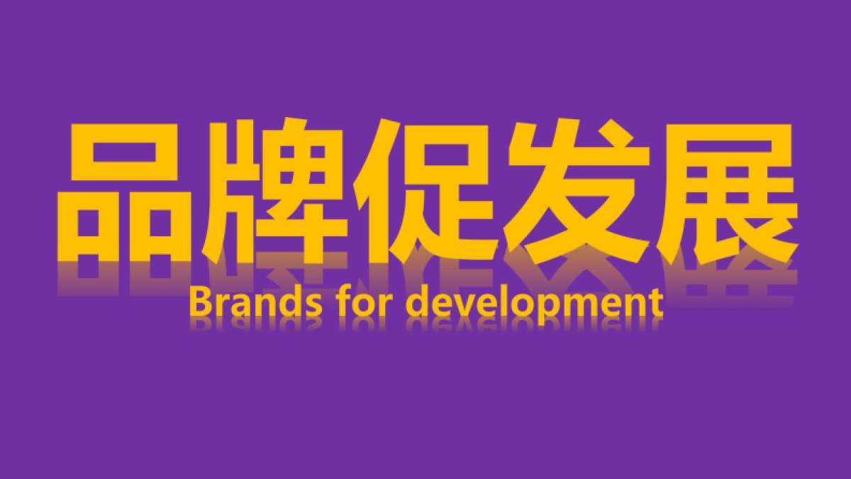 南派农场新媒体规划_第3页