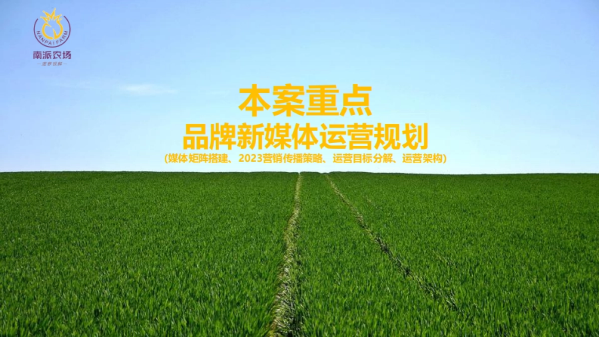 南派农场新媒体规划_第5页