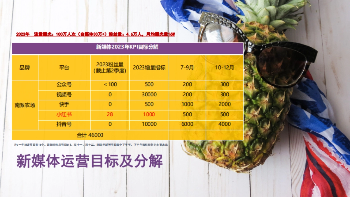 南派农场新媒体规划_第9页