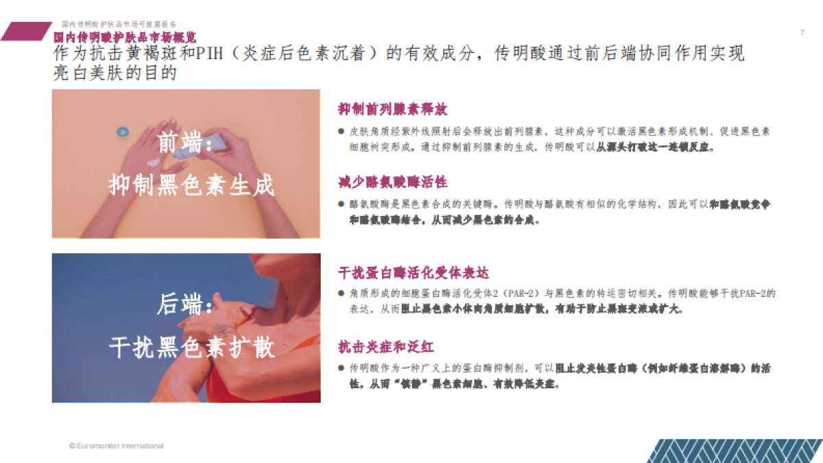 欧睿国际：2024中国传明酸护肤品行业发展报告_第7页