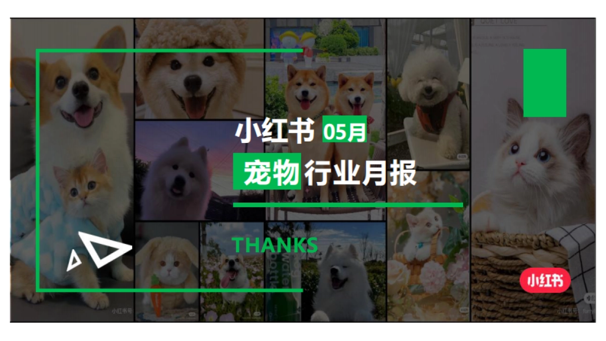 小红书：小红书宠物行业月报(2024年5月)_第1页