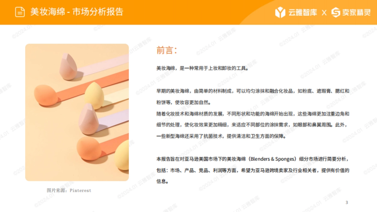 云雅智库&卖家精灵：2024美妆海棉市场分析报告_第3页