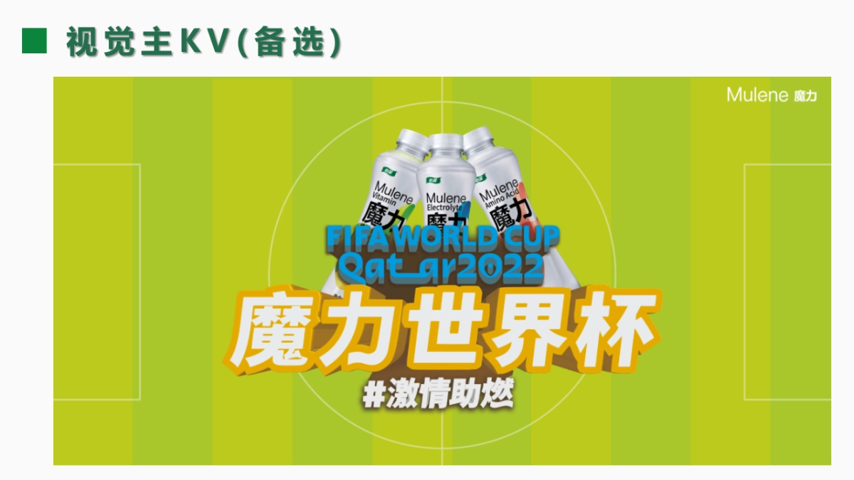 怡宝魔力品牌路演活动执行方案_第10页