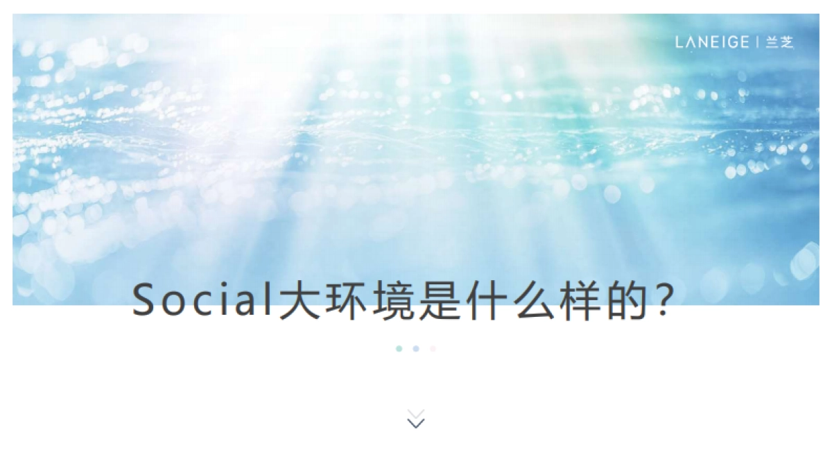 2020 兰芝retainer proposal_第3页