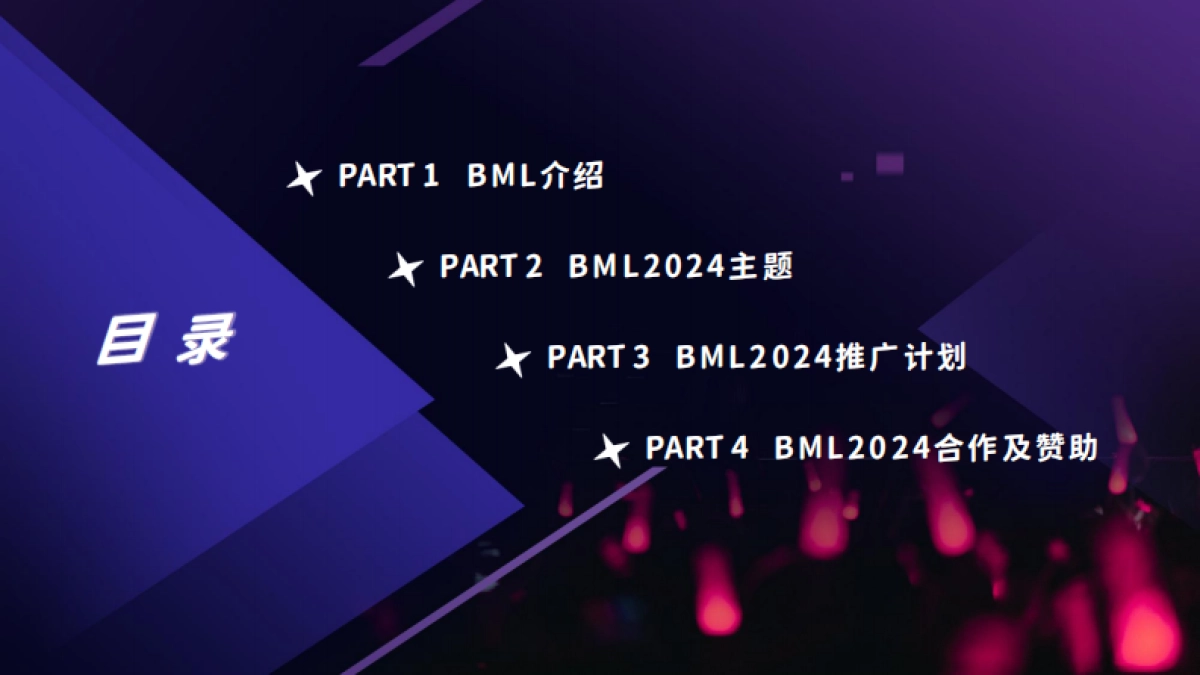2024BML 招商方案_第2页