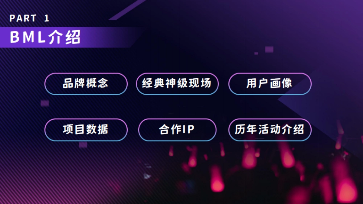 2024BML 招商方案_第3页