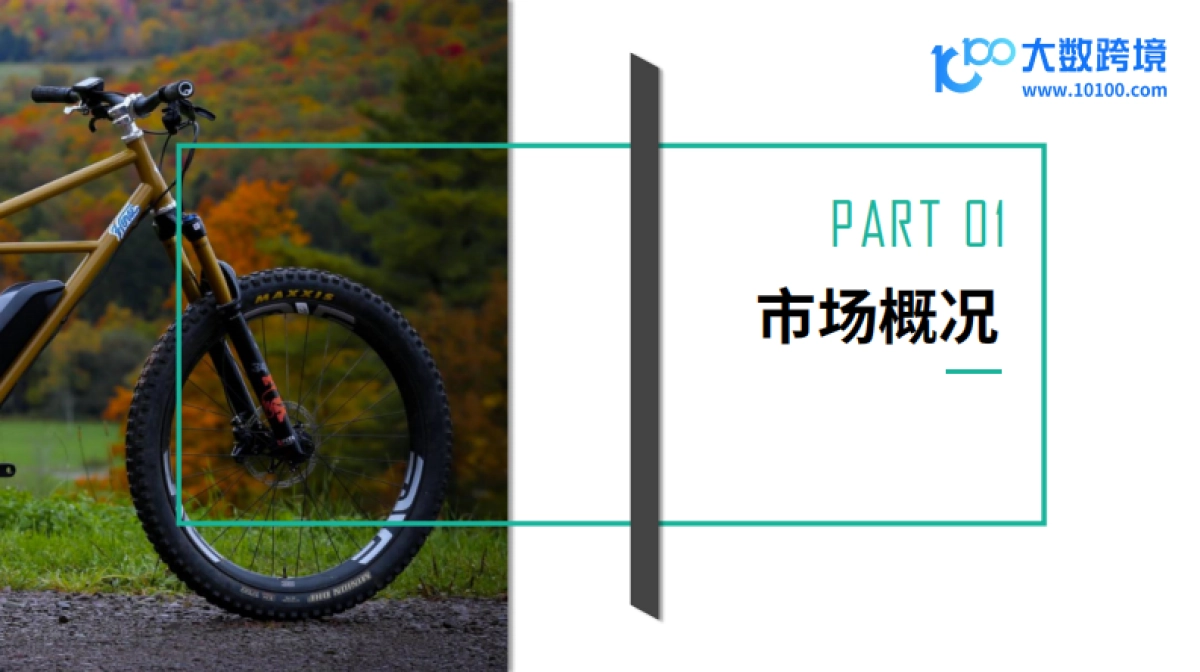 2024全球E-Bike市场洞察报告(电动自行车)_第4页