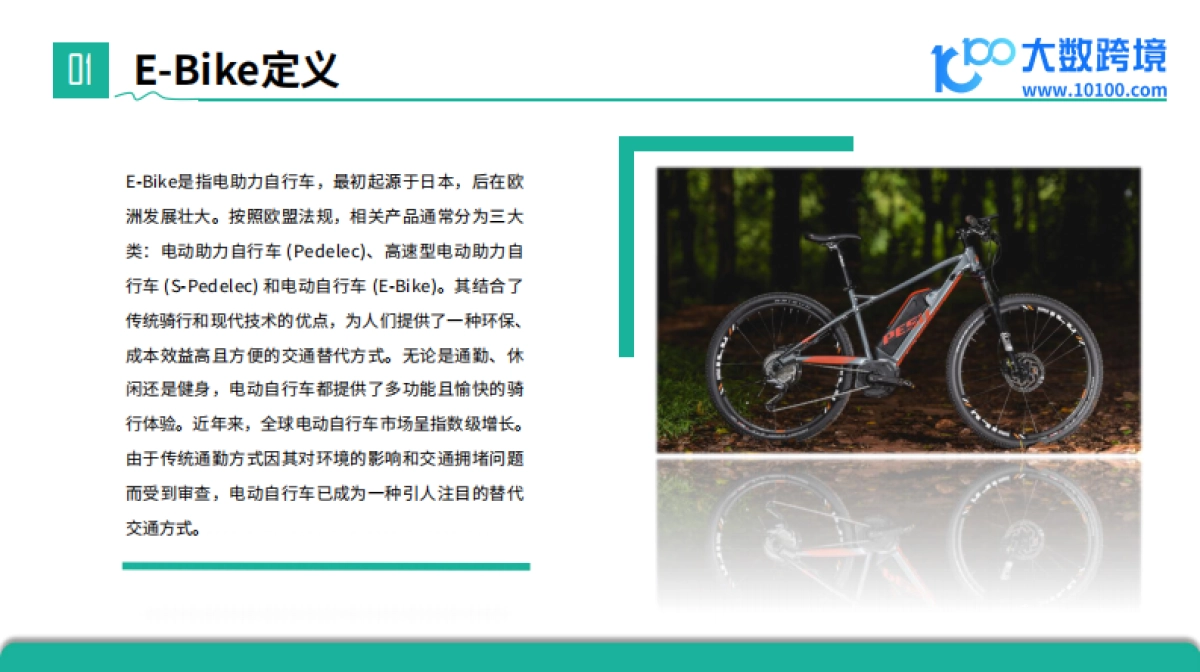 2024全球E-Bike市场洞察报告(电动自行车)_第5页