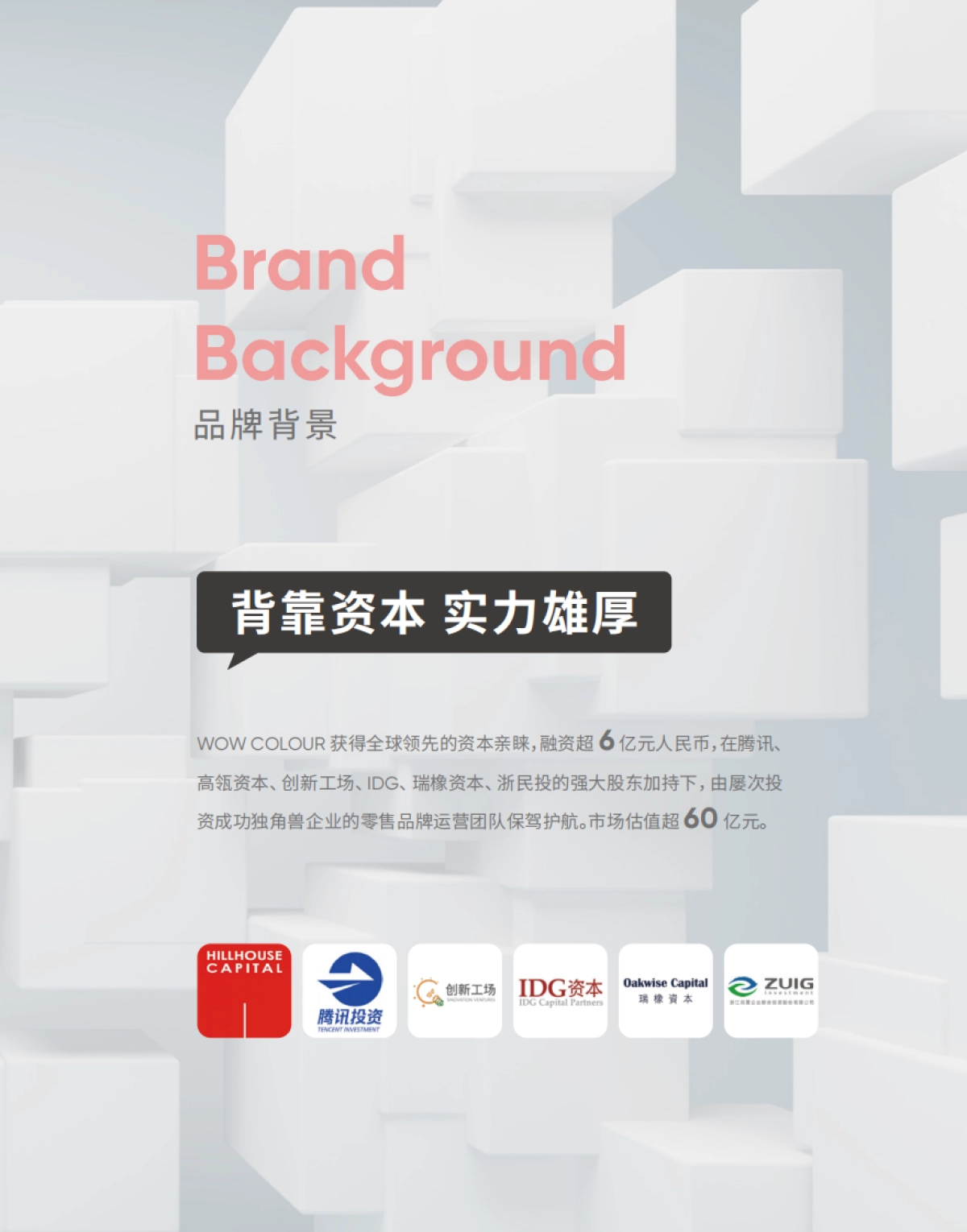 wow colour新版品牌手册_第5页