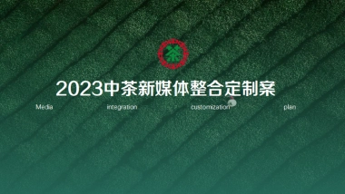 茶企集团新媒体整合营销方案