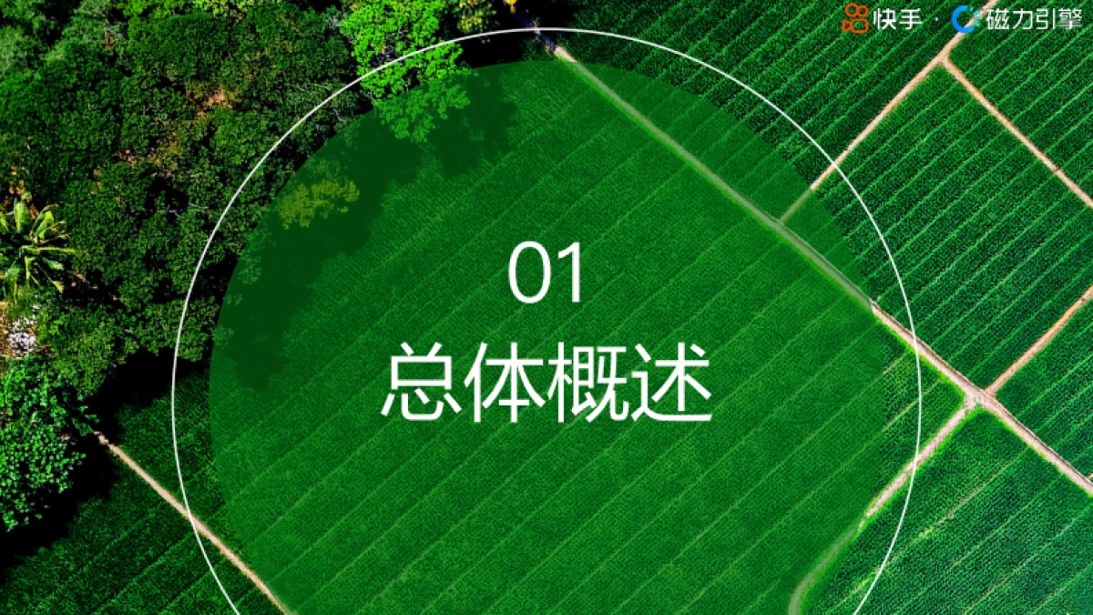 磁力引擎：2024快手行业人群画像报告-粮油调味类目_第3页