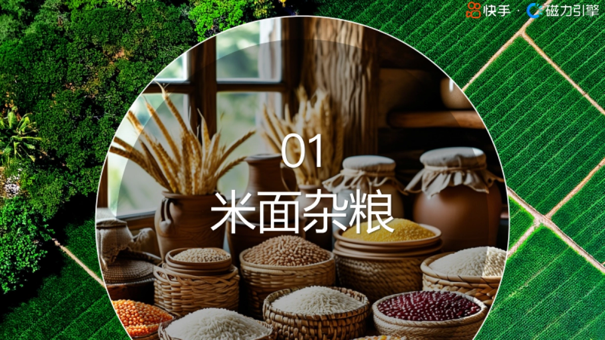 磁力引擎：2024快手行业人群画像报告-粮油调味类目_第7页