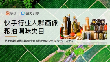 磁力引擎：2024快手行业人群画像报告-粮油调味类目