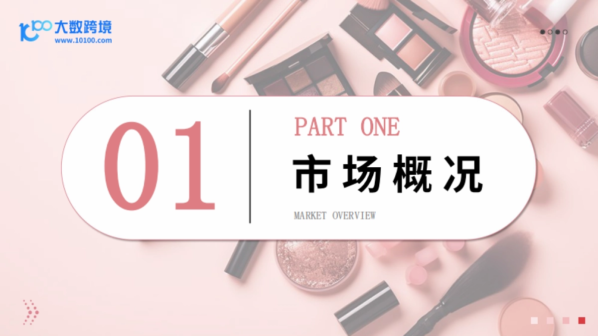 大数跨境：2024日本美妆市场洞察报告_第4页