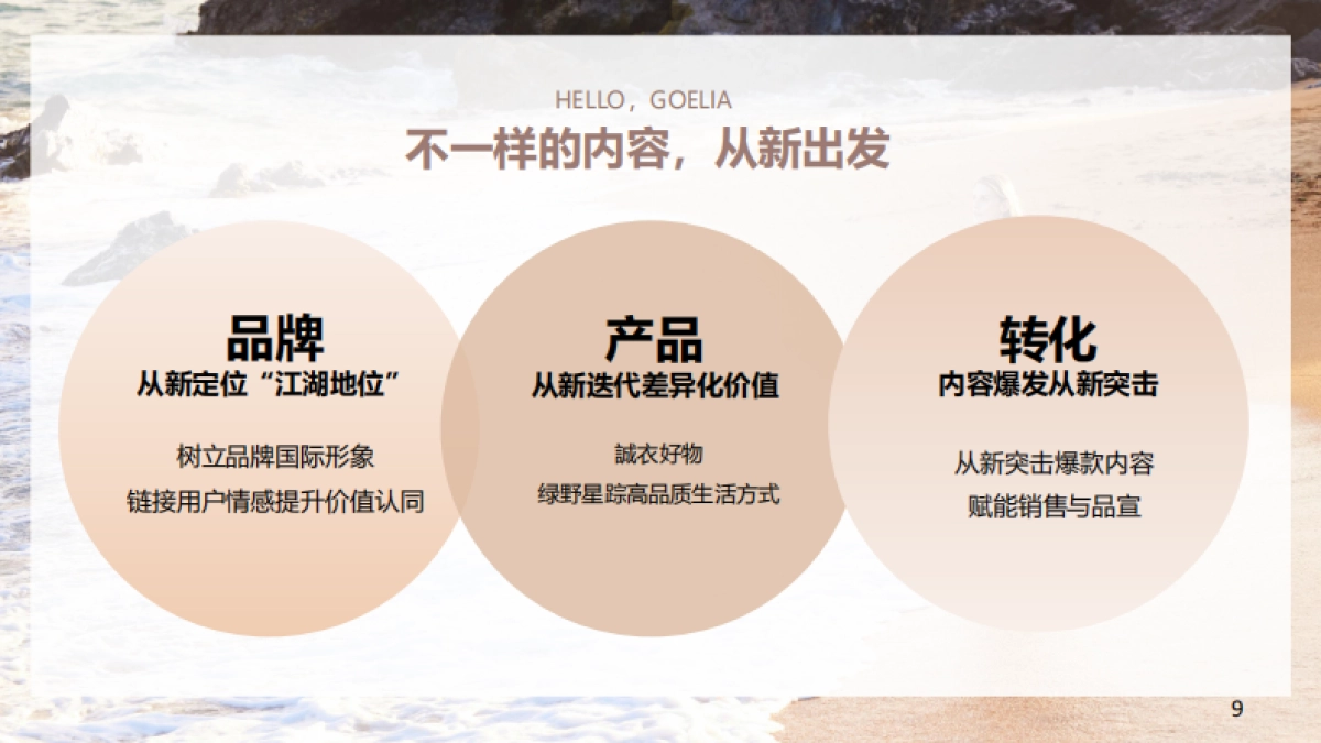 歌莉娅半年度计划_第9页