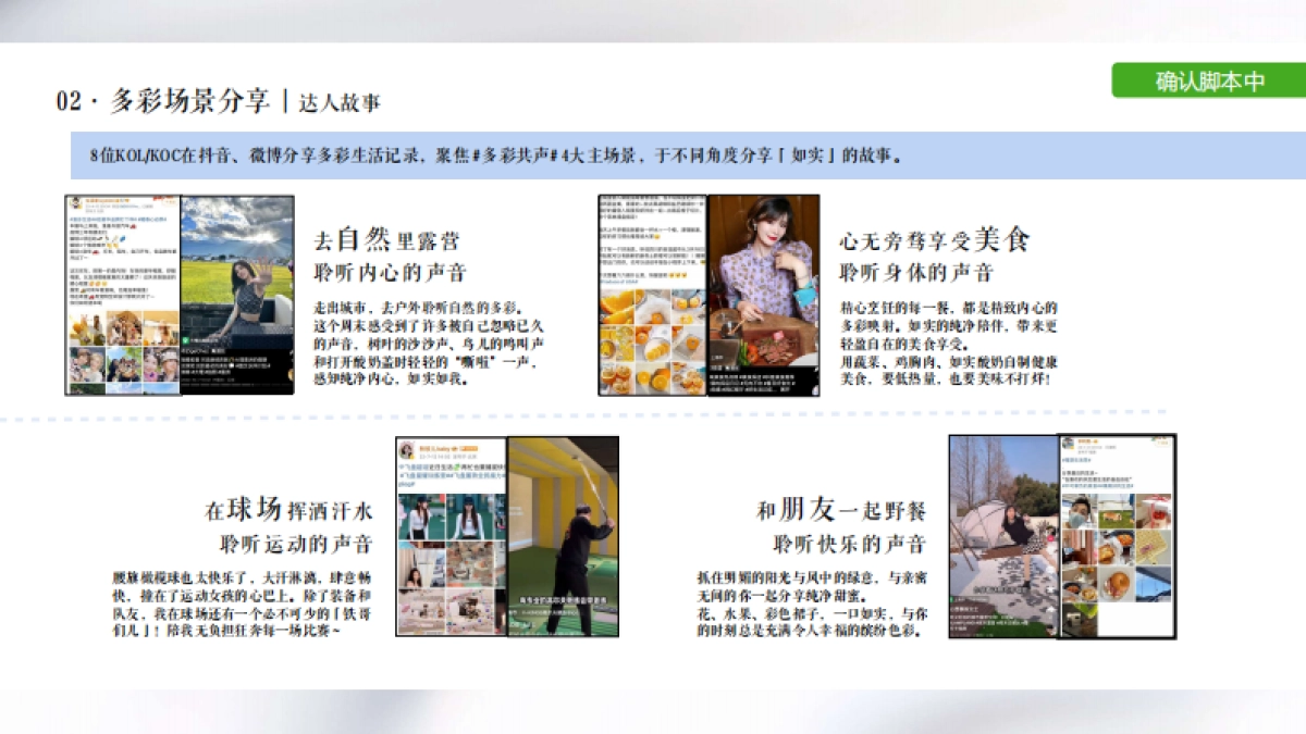 光明如实辰山音乐节整合方案_第10页