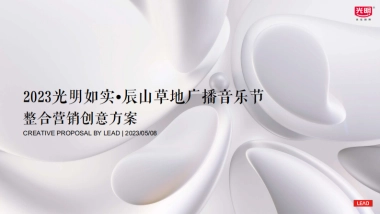 光明如实辰山音乐节整合方案