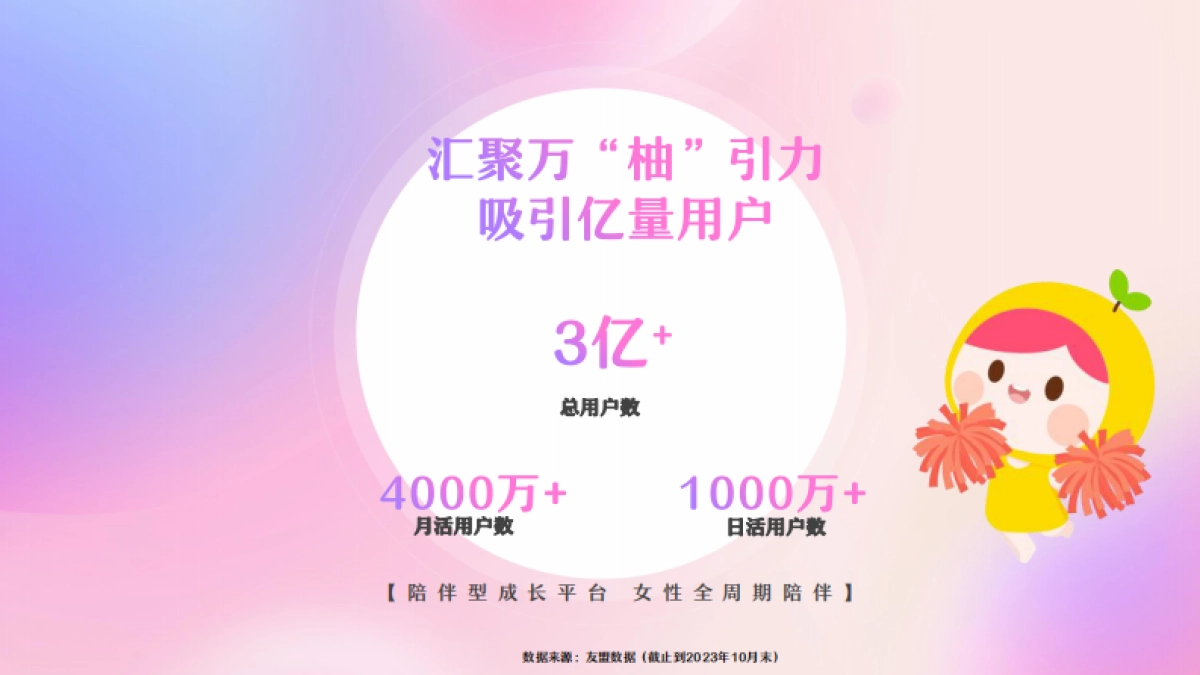 美柚营销手册2024_第8页