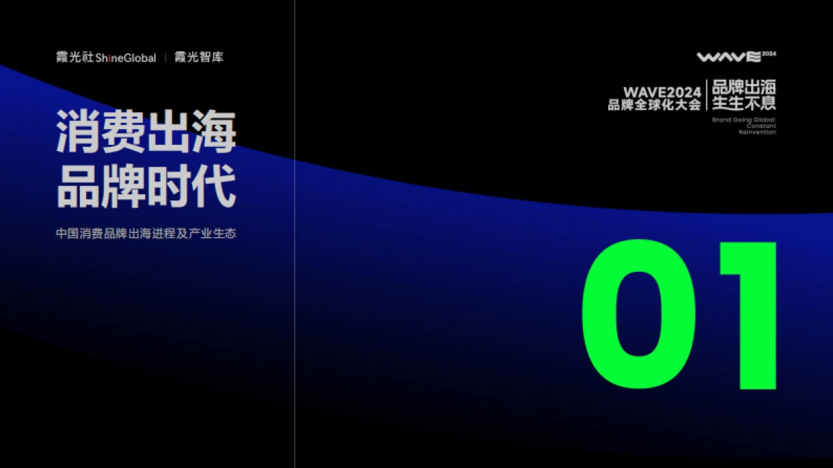 霞光智库:2024中国消费品牌全球化趋势洞察报告_第4页
