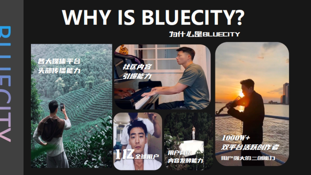 《请你唱一首歌》音乐招商企划_第7页