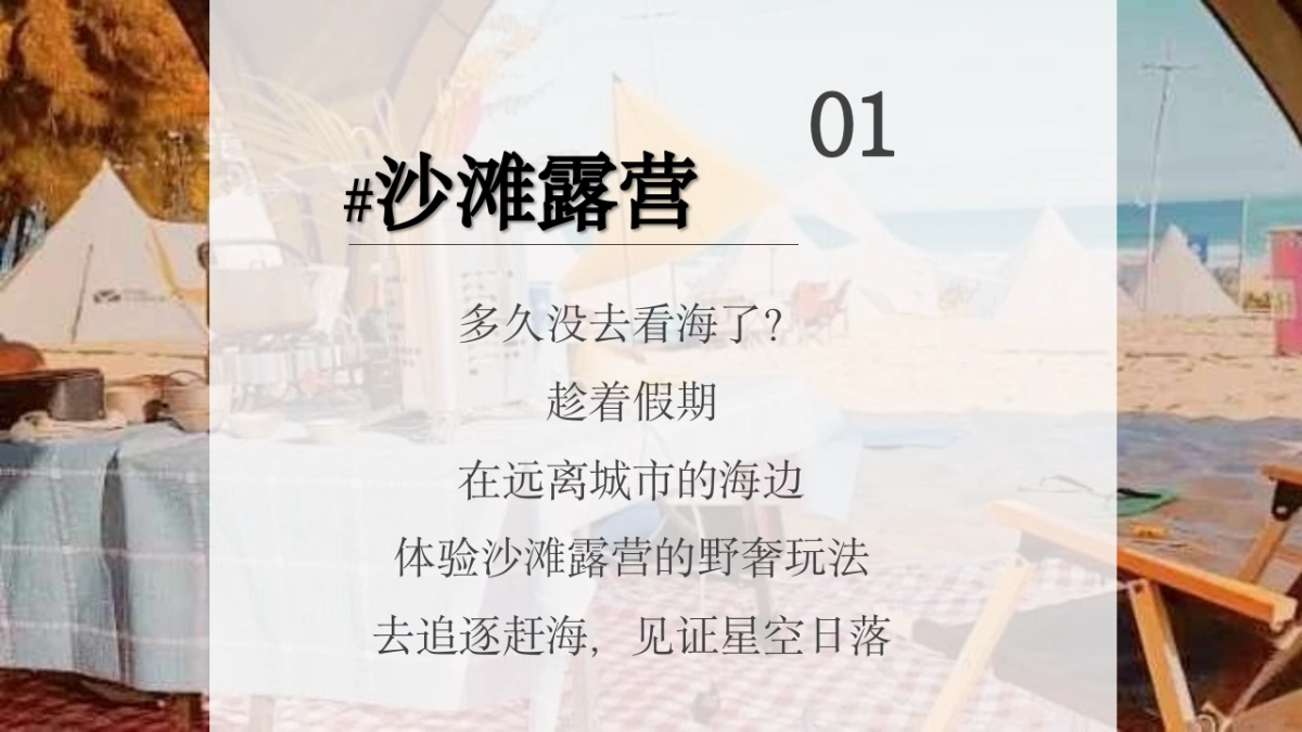 2024文旅项目沙滩露营集市+音乐节策划方案_第2页