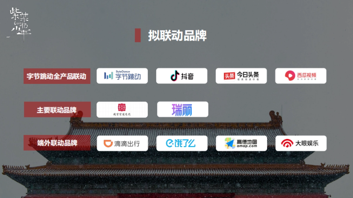 紫禁600仍少年项目策划&联动方案_第5页