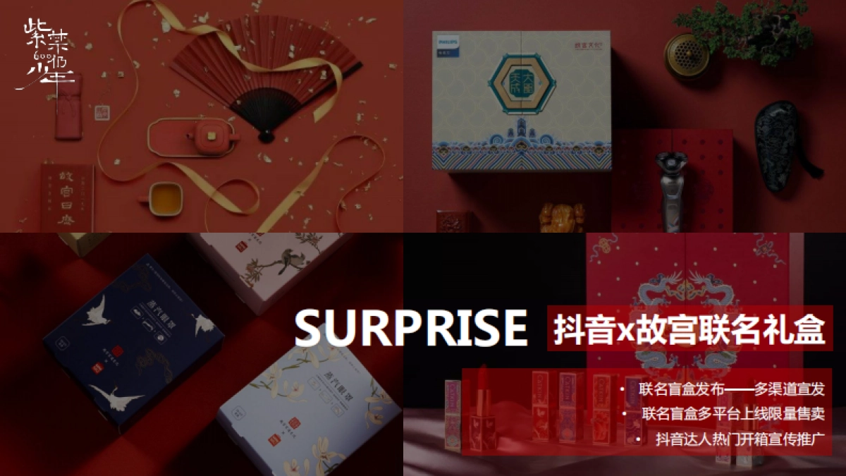 紫禁600仍少年项目策划&联动方案_第8页